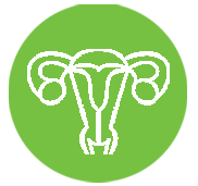OB/GYN